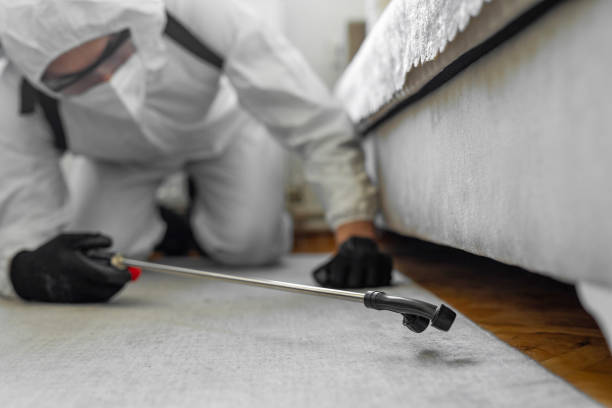 Professional Termite Control technician working in Dallas Center, IA