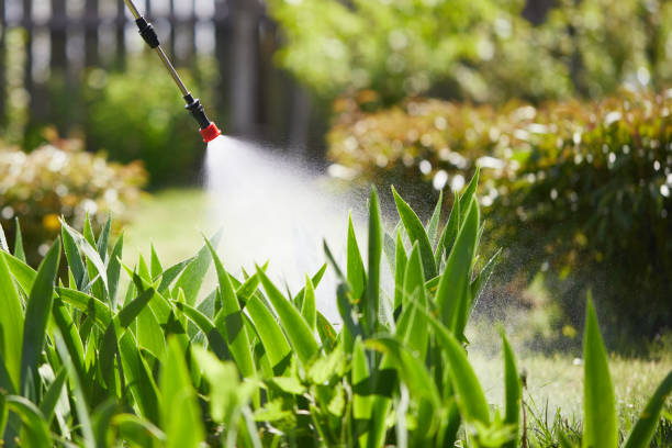 24/7 Emergency Termite Control experts in Dallas Center, IA