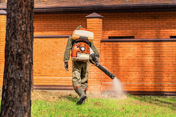 Trusted Rodent Control service in Dallas Center, IA - Nex Pest Control